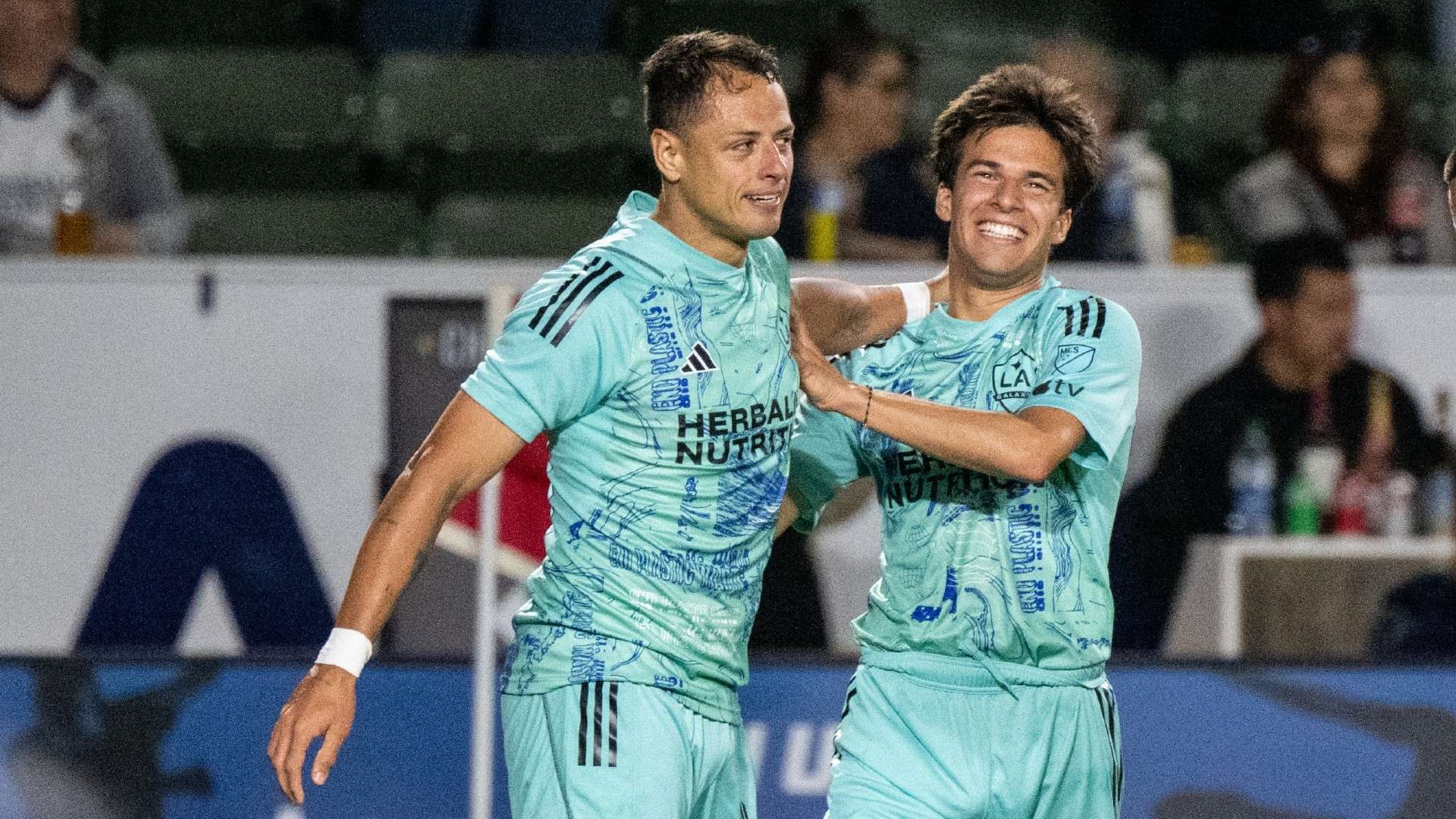 借鉴了类似 借鉴了类似