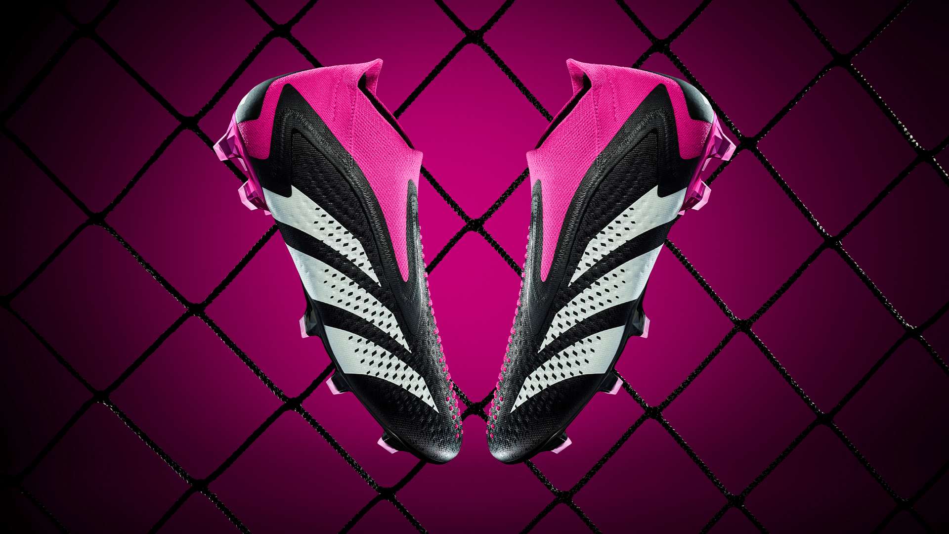 芒特都展现 芒特都展现